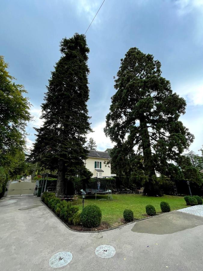 Résidence Mont-blanc Ginebra Exterior foto